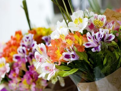 alstroemeria-flower market-min